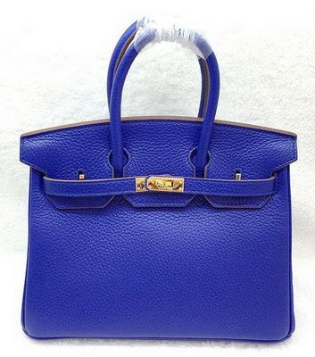 Hermes Birkin 25CM Tote Bag Original Leather H25T Royal Tl1173ta99