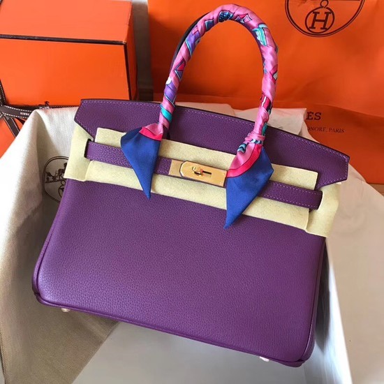 Hermes Birkin Tote Bag Original Togo Leather BK35 purple Tl774UW57