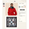 Fake Hermes Scarf HEC00302 Scarf Tl4207xE84