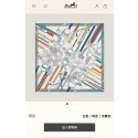 Hermes Scarf HEC00371 Tl4138Bw85