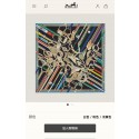 Replica Hermes Scarf HEC00469 Tl4040VA65