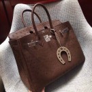 Fake Hermes Real ostrich leather birkin bag BK35 Chocolates Tl738xR88