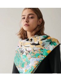 Hermes Scarf HEC00161 Tl4348JD28