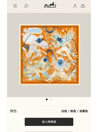Hermes Scarf HEC00398 Tl4111DO87