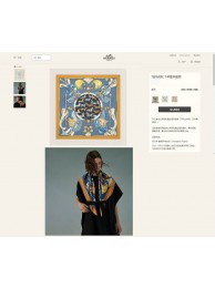 Hermes Scarf HEC00431 Scarf Tl4078Xw85