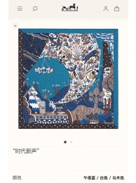 Hermes Scarf HEC00472 Tl4037Is53