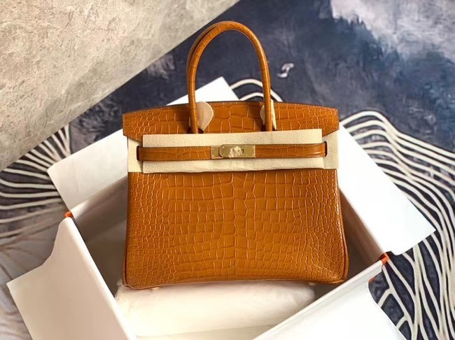 Cheap Copy Hermes Birkin Bag Original Leather crocodile HBK35 brown Tl495Eq45