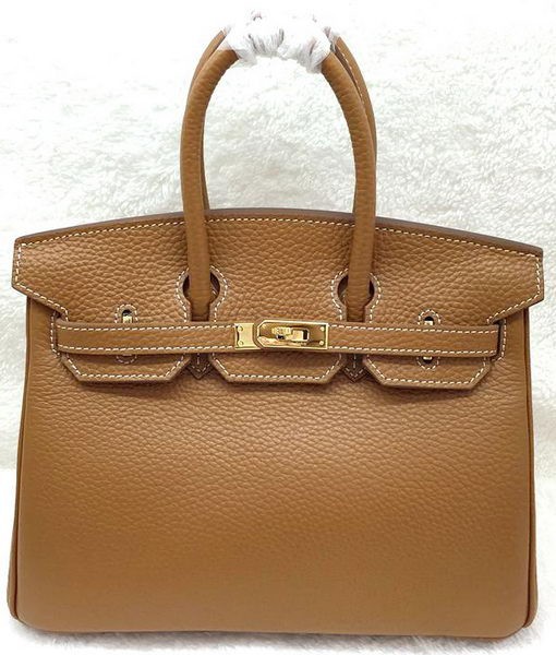 Hermes Birkin 25CM Tote Bag Original Leather H25T Wheat Tl1170TV86