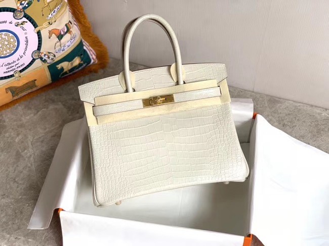 Imitation Hermes Birkin Bag Original Leather crocodile HBK35 white Tl500zn33