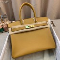 Hermes Birkin 25CM Tote Bag Original Leather H25T Yellow Tl491uT54