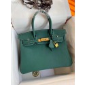 Hermes Birkin Bag Original Togo Leather 17825 Green Tl471De45