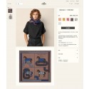Hermes Scarf HEC00305 Tl4204nQ90