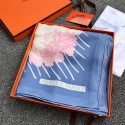 Hermes Scarf HEC00434 Tl4075fr81