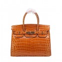 Knockoff High Quality Hermes Birkin 30CM Tote Bags Wheat Iridescent Croco Leather Gold Tl1466FA65