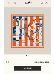 AAA Hermes Scarf HEC00380 Scarf Tl4129zK34