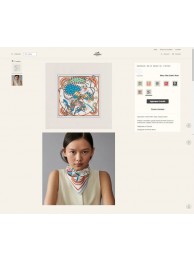 Fake Hermes Scarf HEC00215 Scarf Tl4294eZ32