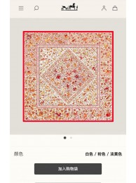 Fake Hermes Scarf HEC00353 Tl4156QF99