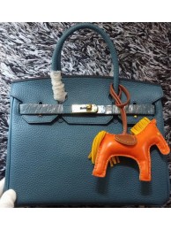 Hermes Birkin 30CM Tote Bags Litchi Leather H30LI Blue Tl1218Bw85